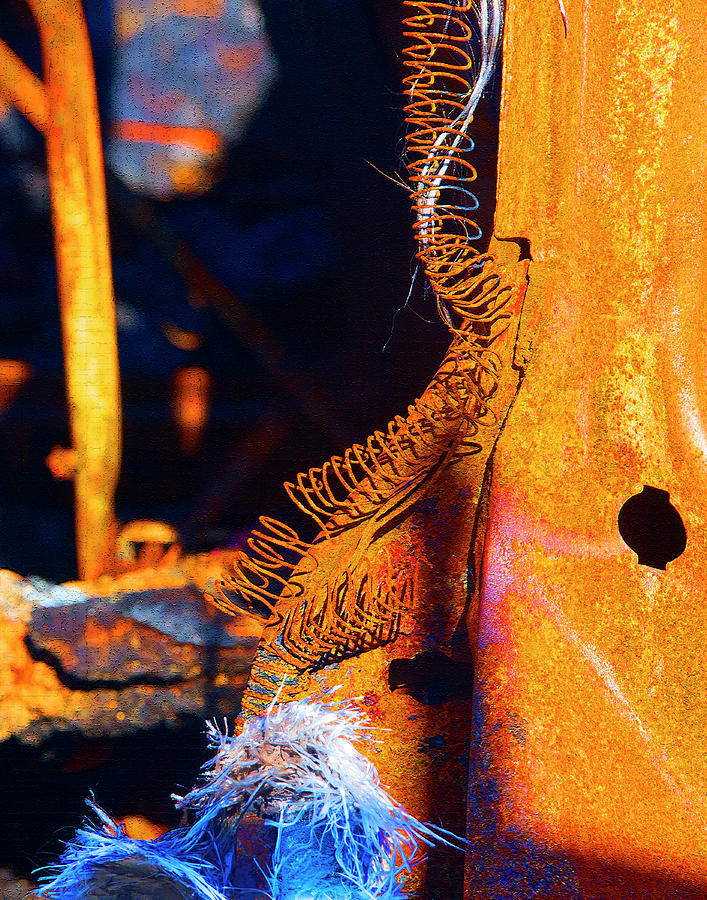 Rust Scapes #5 Photograph by Jessica Levant
