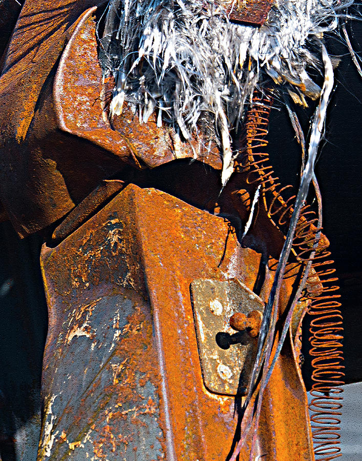 Rust Scapes #9 Photograph by Jessica Levant