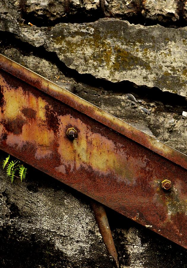 Rust Stairs Photograph by Michael Ramsey