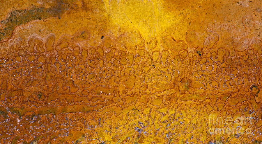 Pattern Photograph - Rust by Tim Gainey