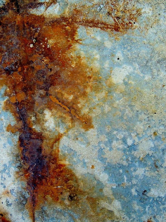 Rusted Abstract 1 Photograph by Denise Clark