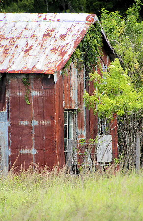 Rusted Barn Photograph by Rosalie Scanlon