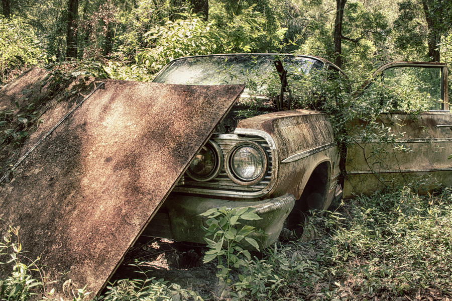 Rusted Beauty Photograph by Travis Rogers