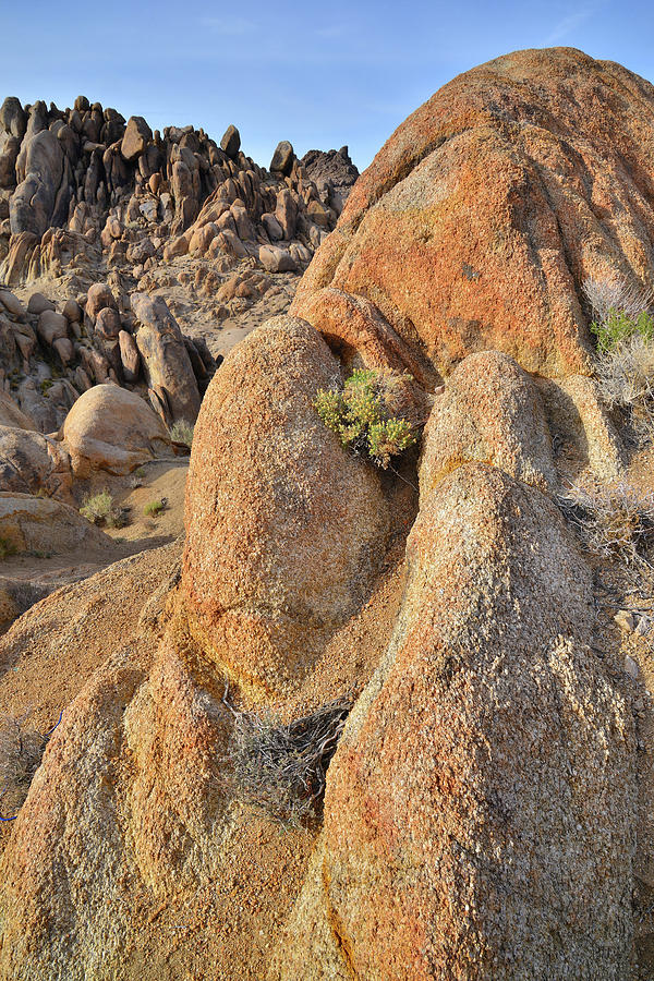 Rusted Boulders of Alabama Hills Photograph by Ray Mathis