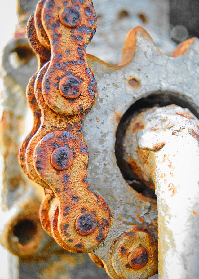 Rusted Chain Photograph by Nathan Little