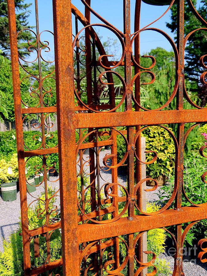 Rusted Gates Photograph by Ed Weidman - Fine Art America