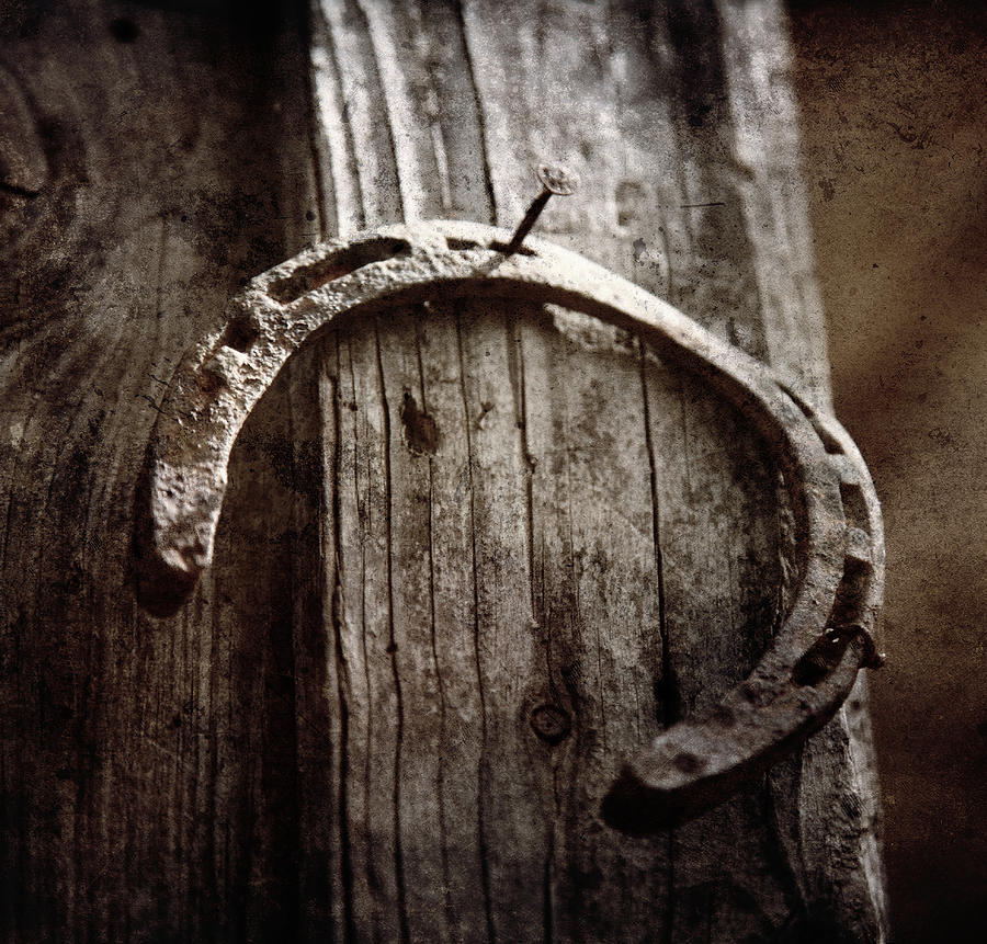 Rusted Horseshoe Photograph by Toni Hopper