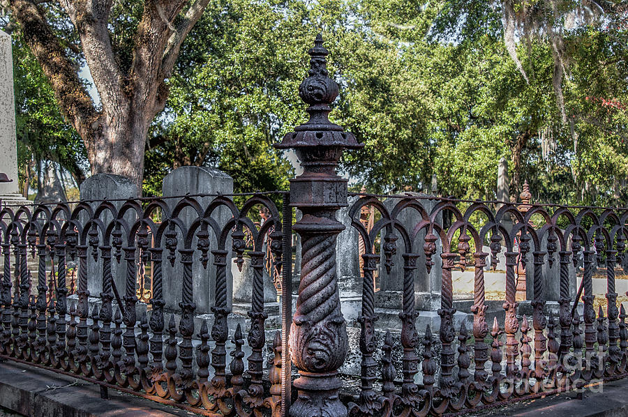 Rusted Ornate Iron Gate Photograph