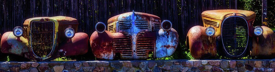 Rusted Out Old Cars Photograph by Garry Gay