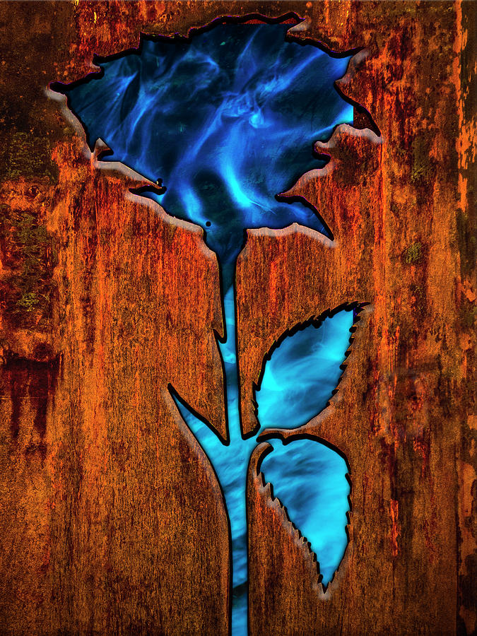 Rusted Rose Photograph