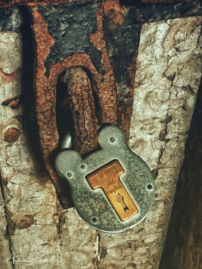 Vintage Photograph - Rusted Security by Andrea Platt