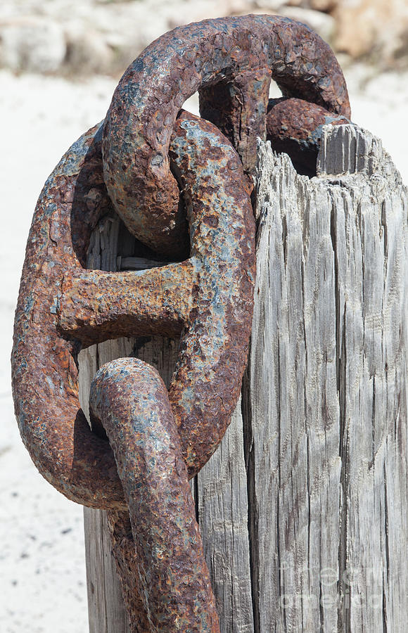 Rusted Ship Anchor of the Caribbean Photograph by David Letts