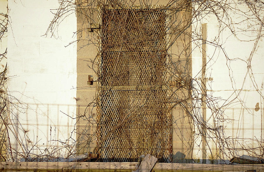 Architecture Photograph - Rusted with Abandon by Susan Maxwell Schmidt