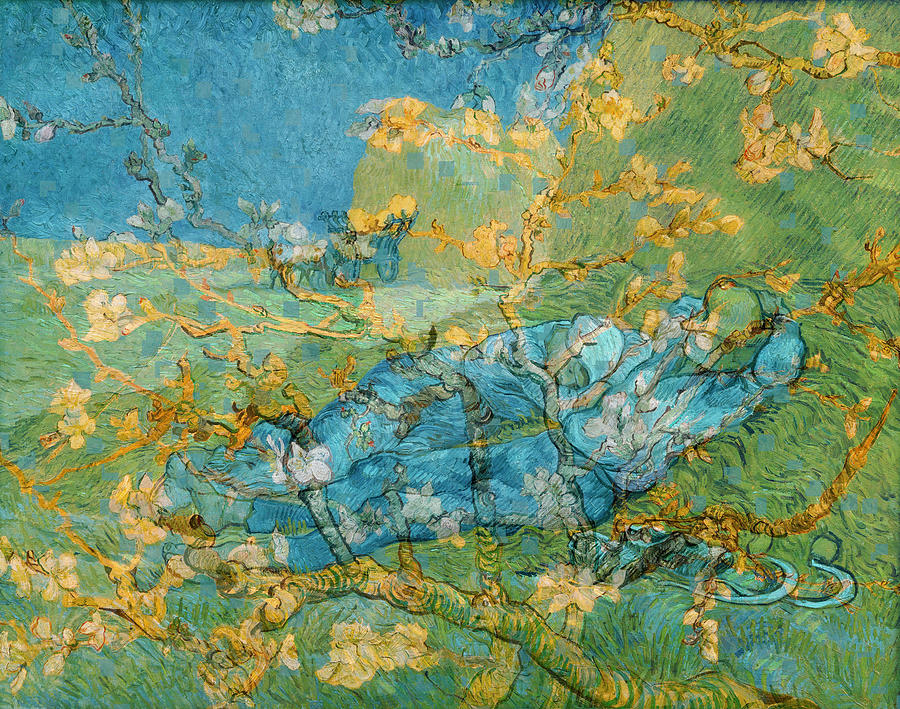 Rustic 6 van Gogh Digital Art by David Bridburg