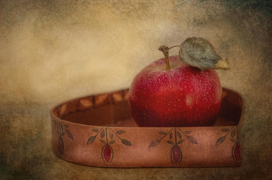 Rustic Apple Photograph by Robin-Lee Vieira