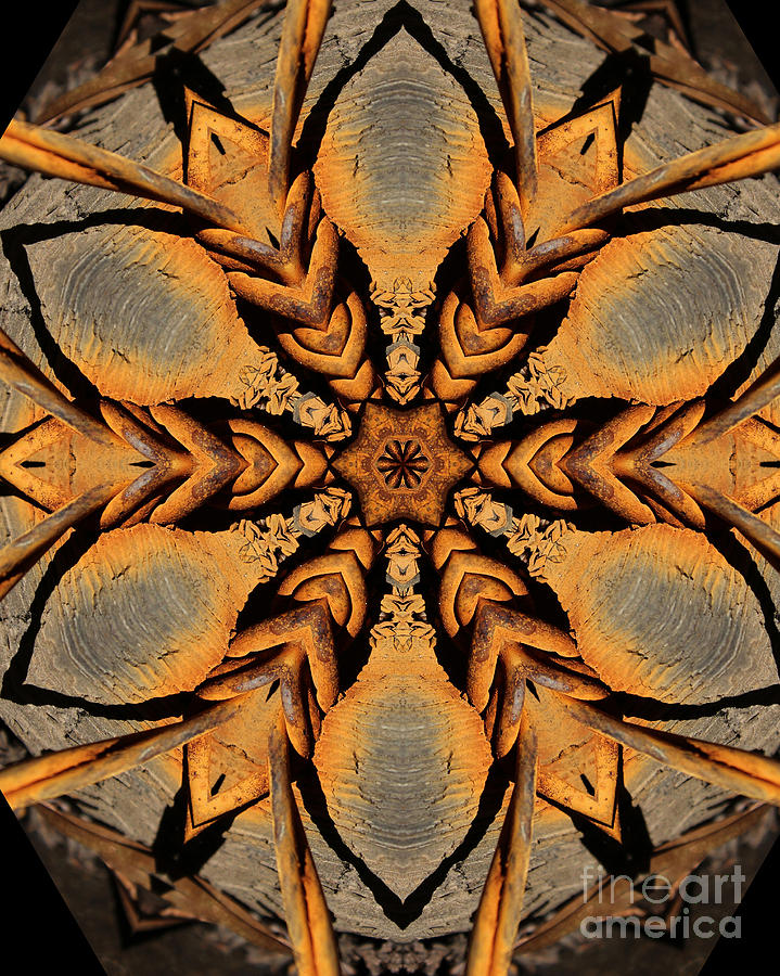 Rustic Barbed Flower Star Mandala Digital Art by Wernher Krutein
