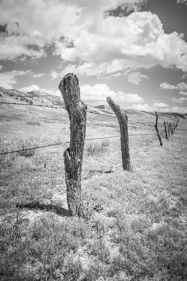 Rustic Barbed Wire Fence Photograph by Alexander Kunz
