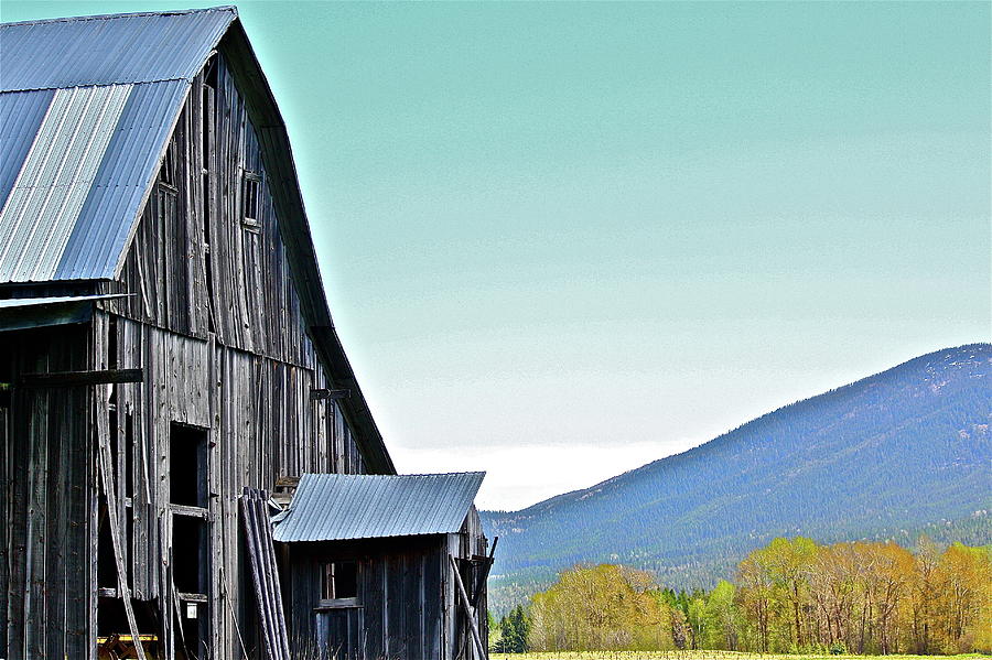 Rustic Barn Photograph by Diana Hatcher