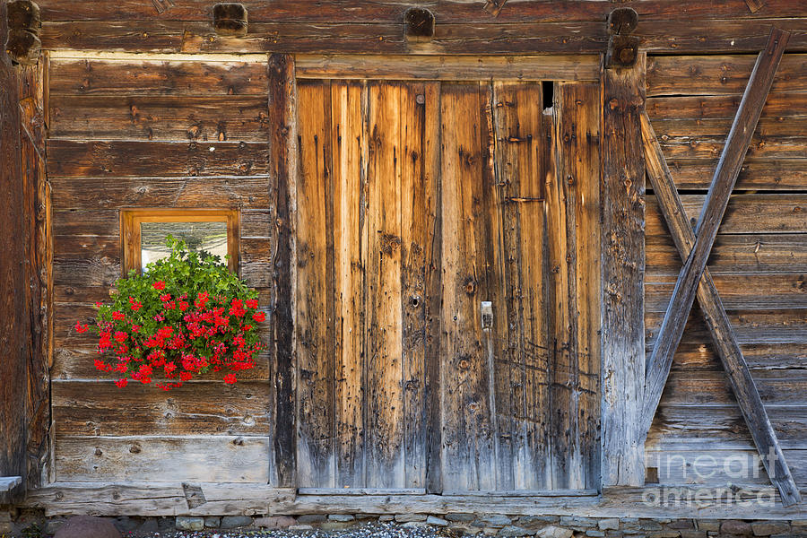 Rustic Barn Door Photograph by Brian Jannsen