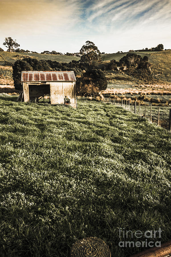 Rustic barn in lush green farmland Photograph by Jorgo Photography