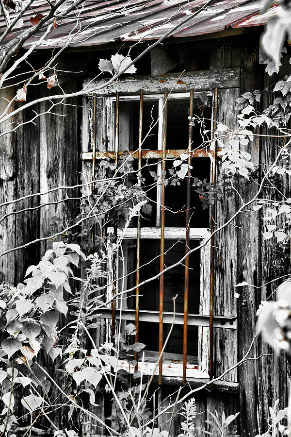 Rustic Barn Window Photograph by Greg Sharpe