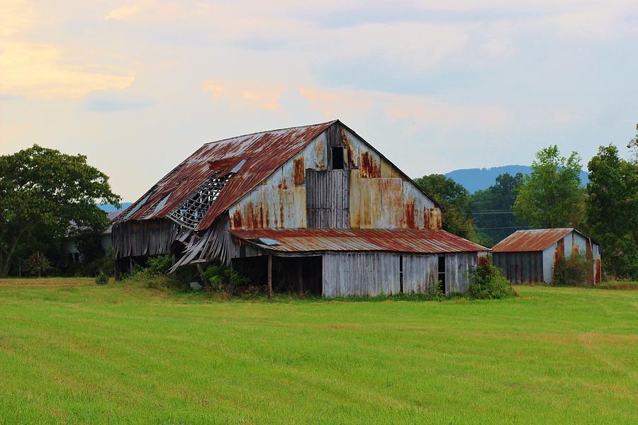 Barn Photograph - Rustic Beauty by Vickie  Teter 