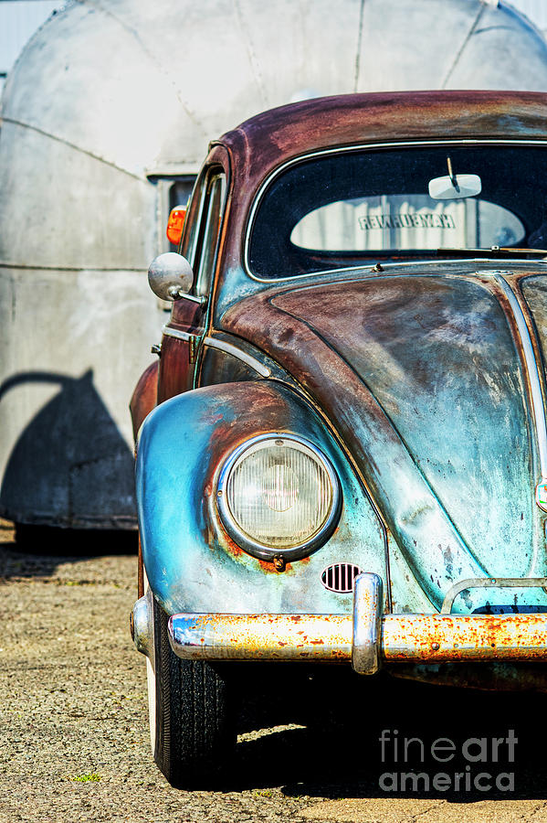 Rustic Beetle  Photograph by Tim Gainey