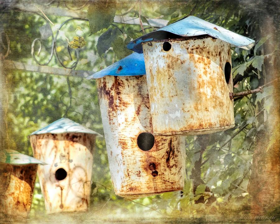 Rustic Birdhouses Photograph by Melissa Bittinger