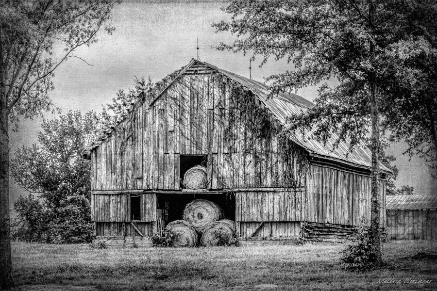 Rustic Black and White Barn Summerfield North Carolina Photograph by Melissa Bittinger