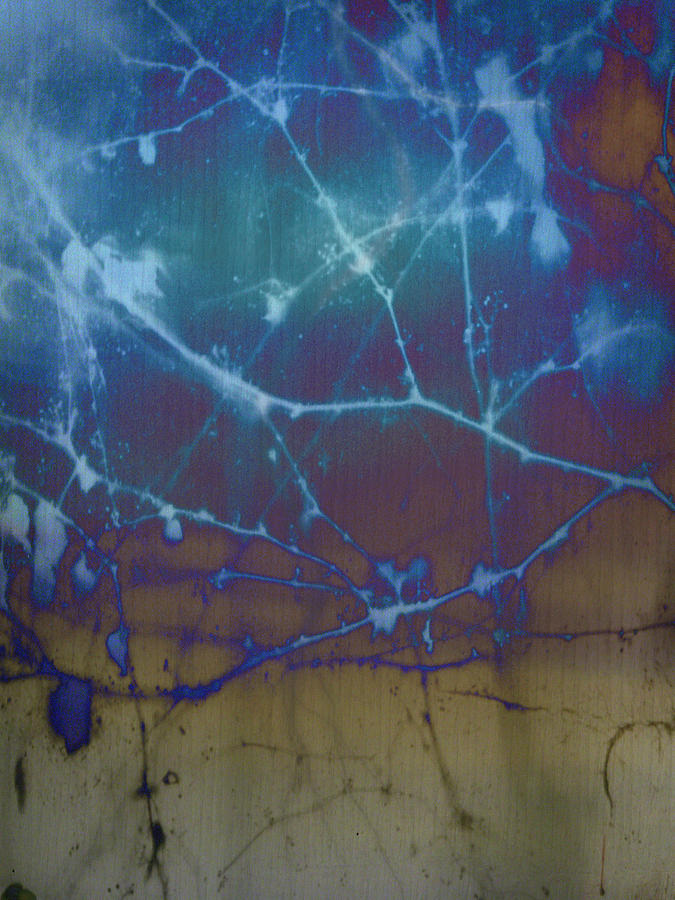 Abstract Photograph - Rustic Blue by Rose  Hill