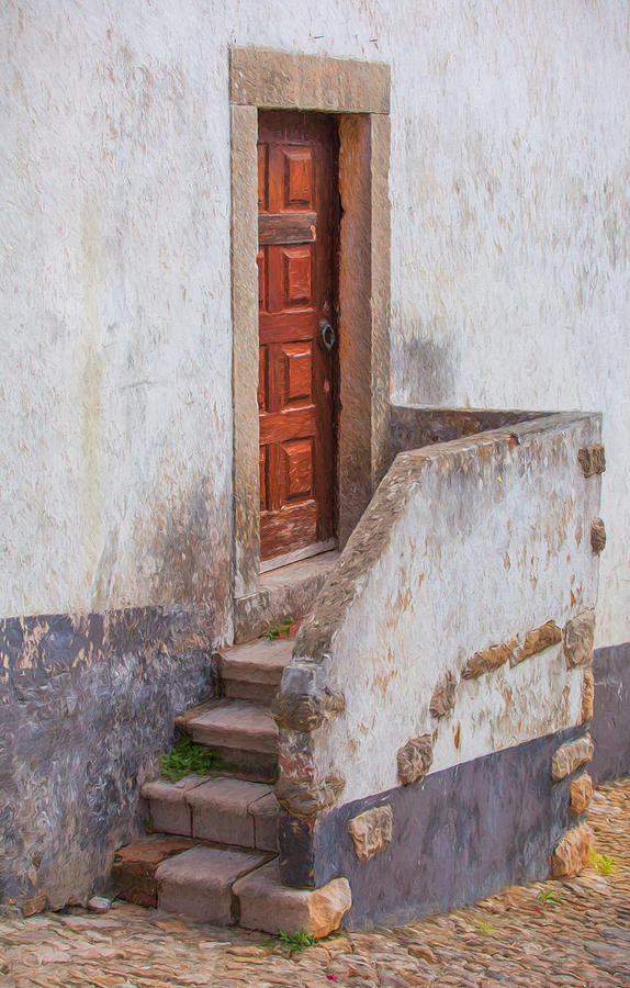Rustic Brown Door of Portugal Painting by David Letts