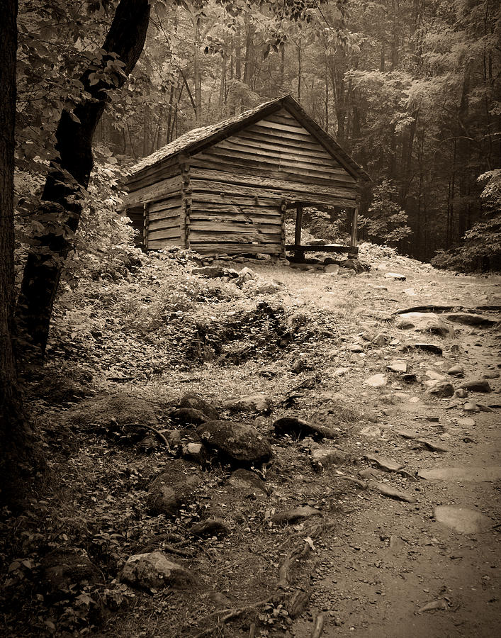 Rustic Cabin Photograph by Larry Bohlin