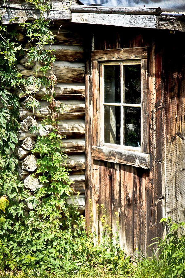 Rustic Cabin Window II Photograph by Athena Mckinzie