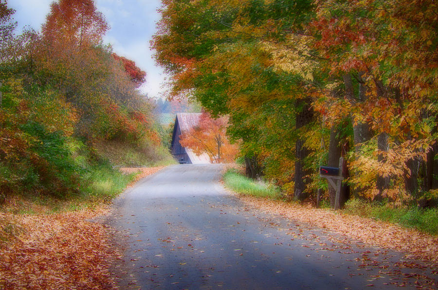 Landscape Photograph - Rustic country Lane under Vermont fall colors by Jeff Folger