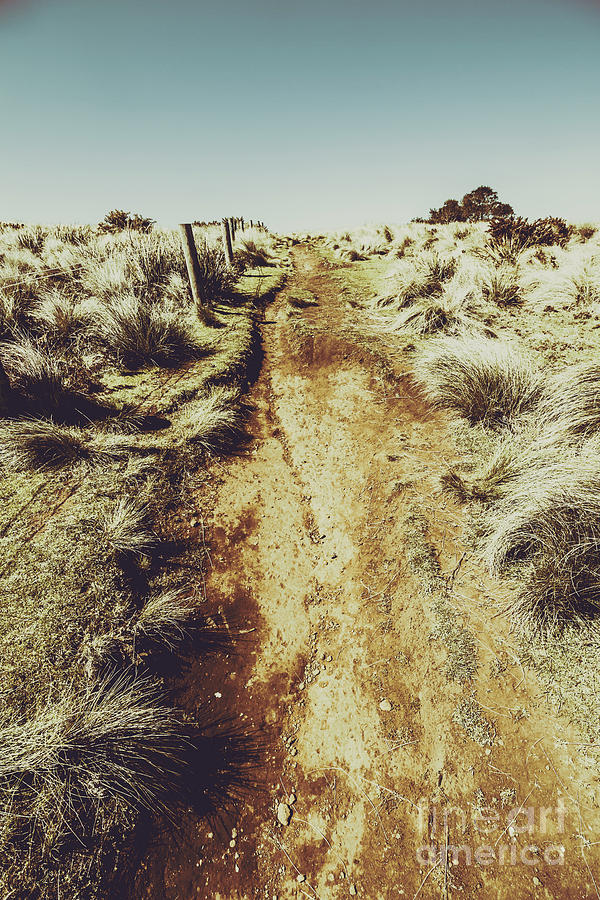 Rustic country trails Photograph by Jorgo Photography