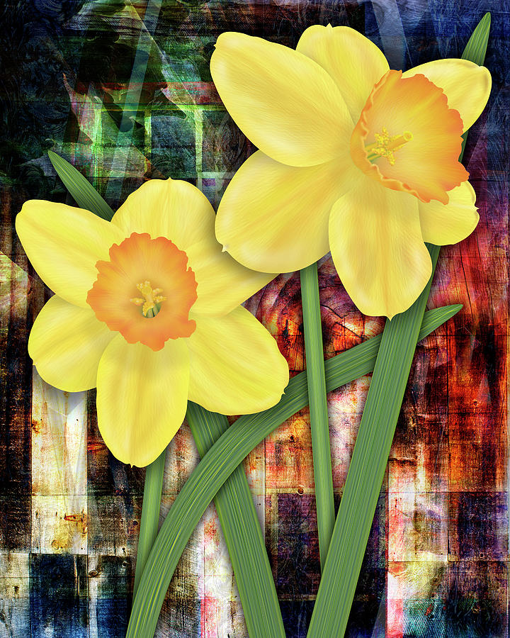 Rustic Daffodils Digital Art by Linda Carruth