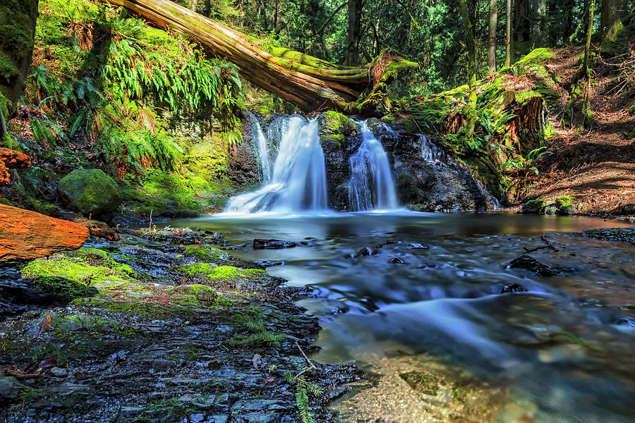 Rustic Fallin Rustic Falls Photograph by Thomas Ashcraft - Fine Art America