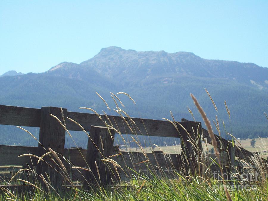 Rustic Fence On Mountain Landscape Photograph by Carol Riddle