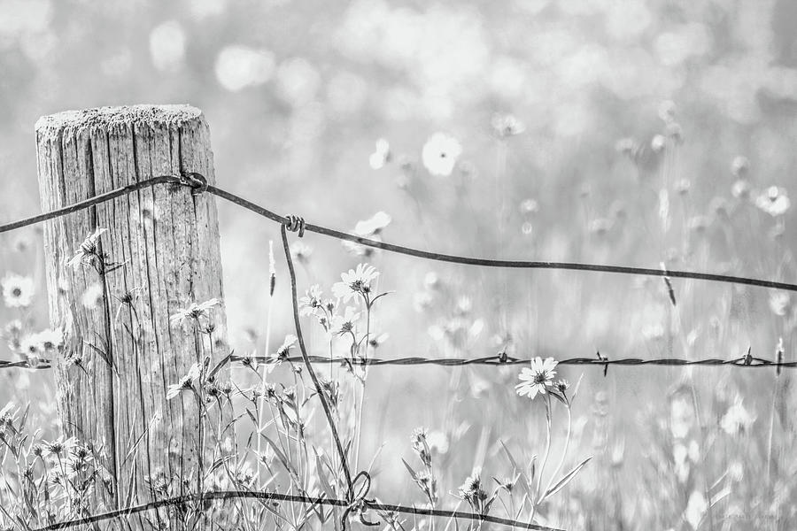 Rustic Fence Post and Wildflowers Monochrome Photograph by Jennie Marie Schell
