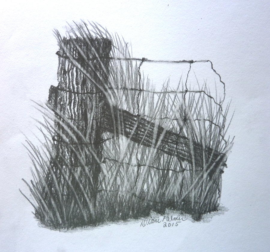 Rustic Fence Post Drawing by Diane Palmer