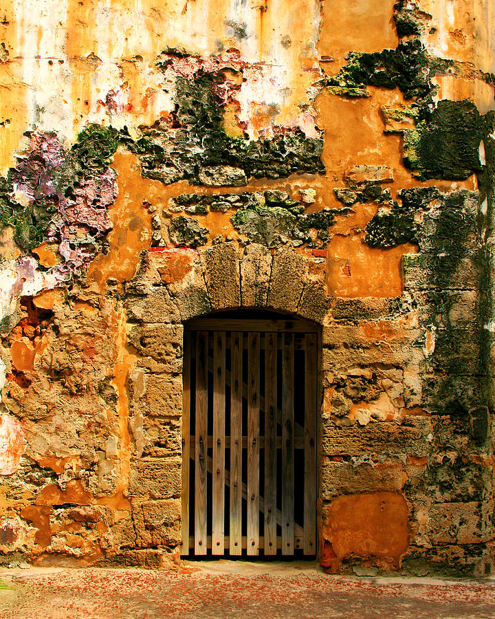 Rustic Fort Door Photograph by Perry Webster