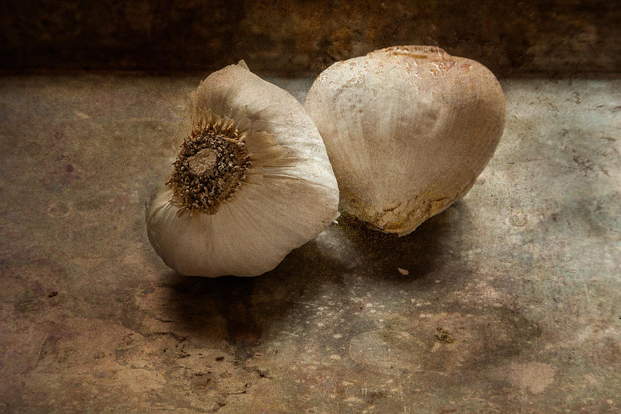 Rustic Garlic Photograph by Erin Cadigan
