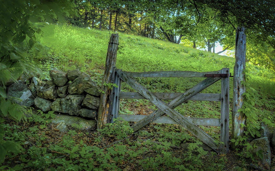 Rustic Gate Photograph by Rick Mosher