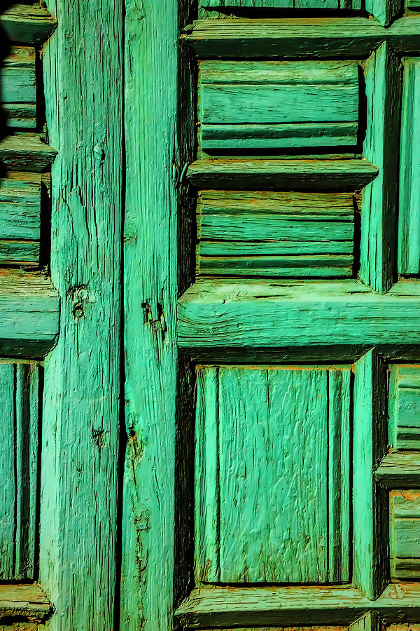 Rustic Green Door Photograph by Garry Gay
