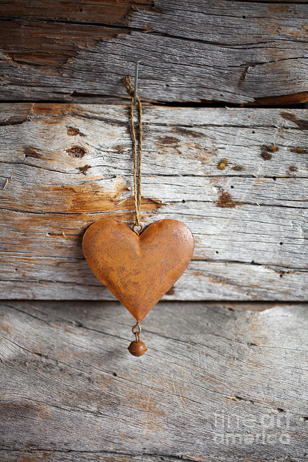 Rustic hearts Photograph by Kati Finell