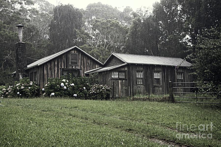 Rustic in the Rain Photograph by Teresa Wilson