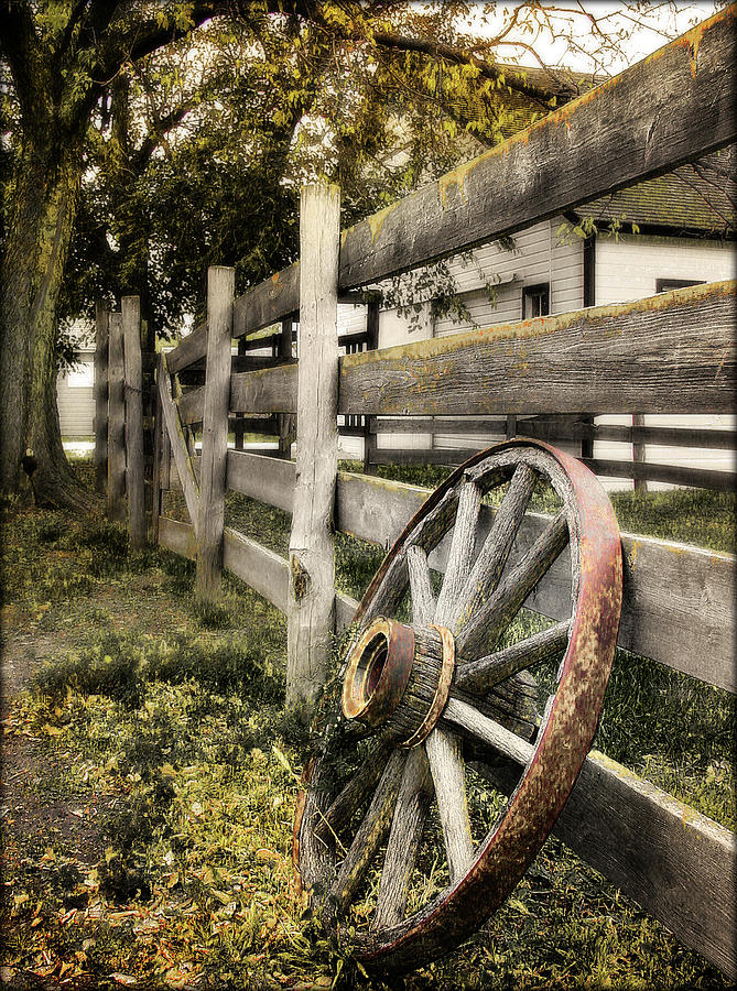 Rustic  Photograph by John Anderson