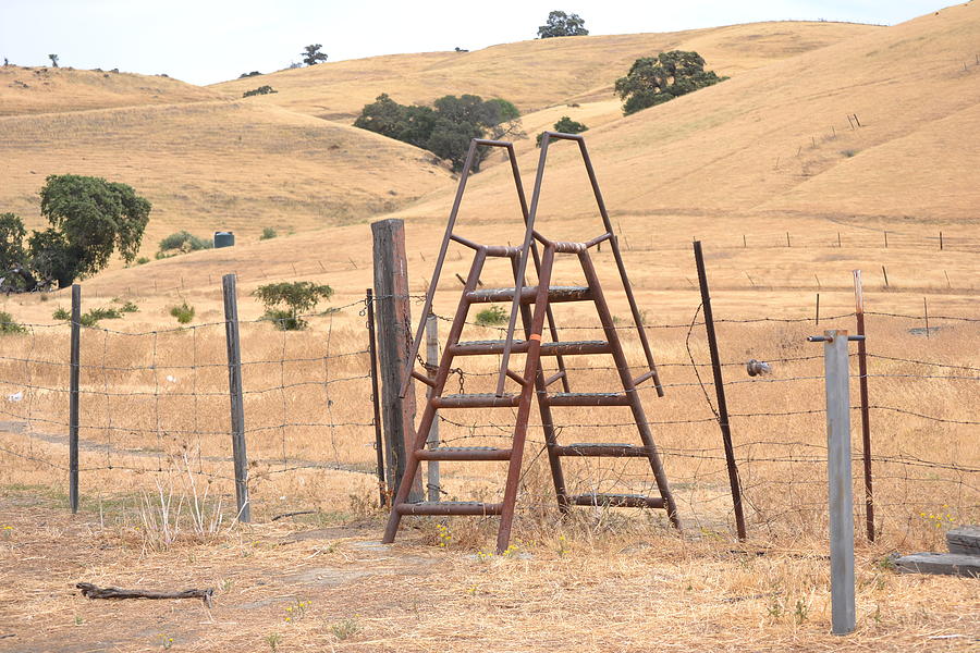 Rustic Ladder Photograph By Christy Riley Holman Pixels   Rustic Ladder Christy Riley Holman 