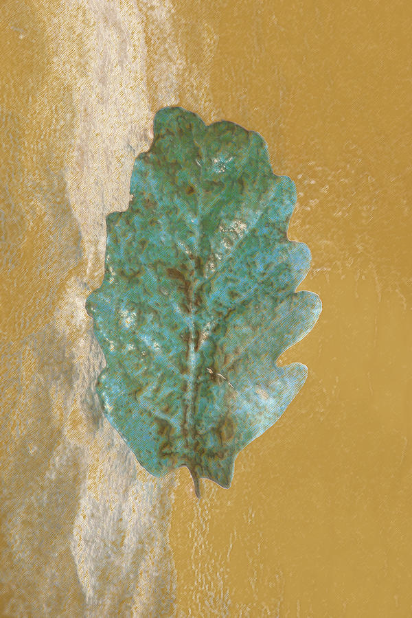 Nature Photograph - Rustic Leaf by Linda Sannuti