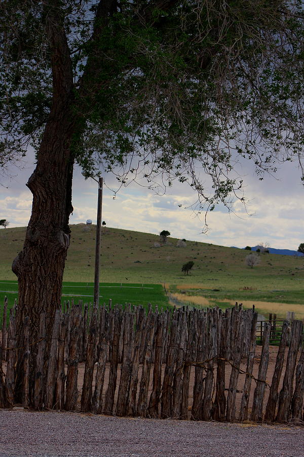 Rustic Log Fence Utah Countryside Photograph by Colleen Photograph by Colleen Cornelius